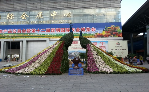 第十四界國際農(nóng)博昆明市花籃